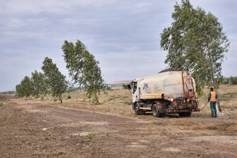 EVS-Espace-Verts-du-Sahel